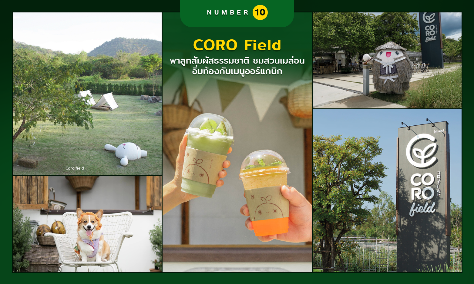 พาลูกมาเที่ยวที่ CORO Field