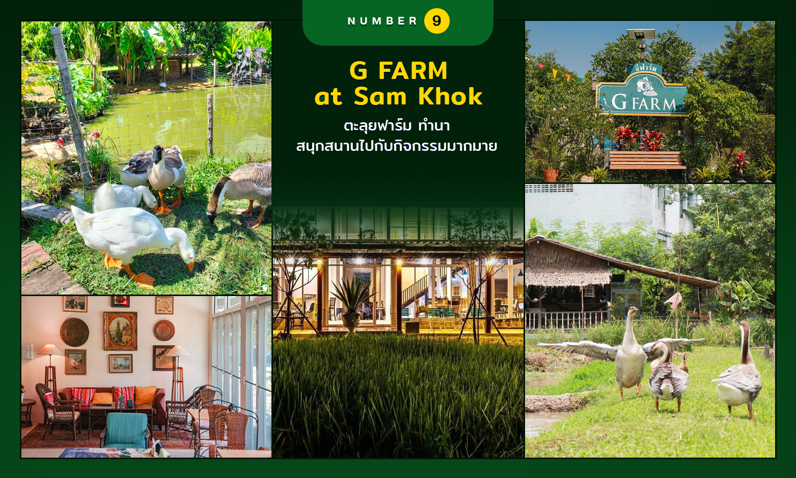 พาเด็กเที่ยว G FARM at Sam Khok