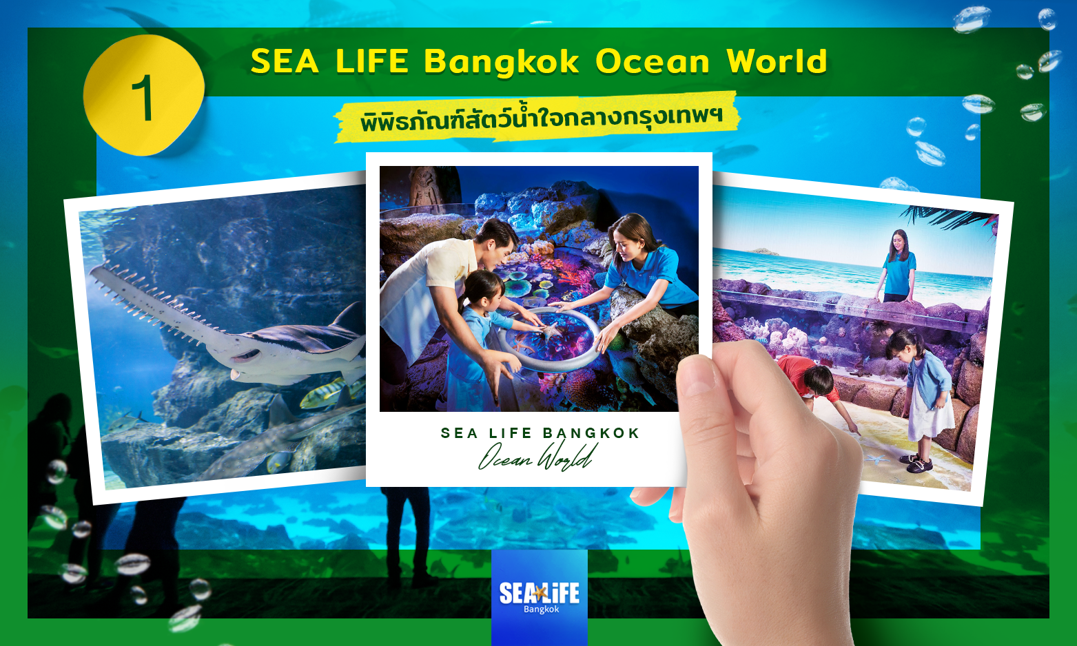 อควาเรียม SEA LIFE Bangkok Ocean World