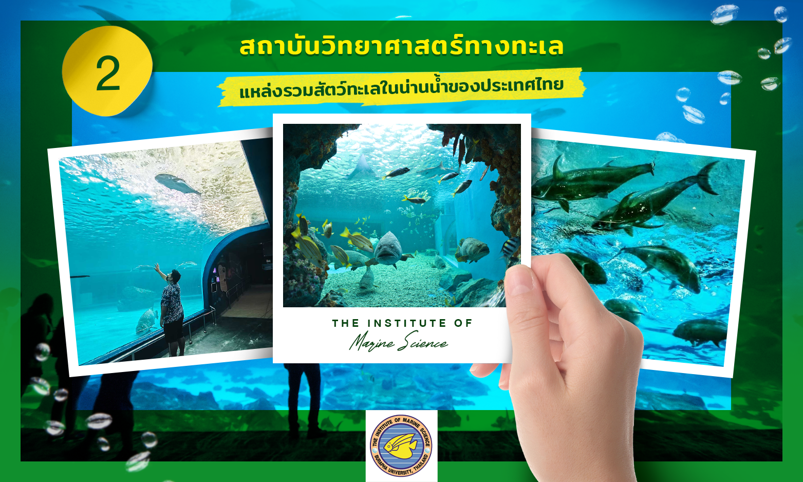 พิพิธภัณฑ์สัตว์น้ำ สถาบันวิทยาศาสตร์ทางทะเล 