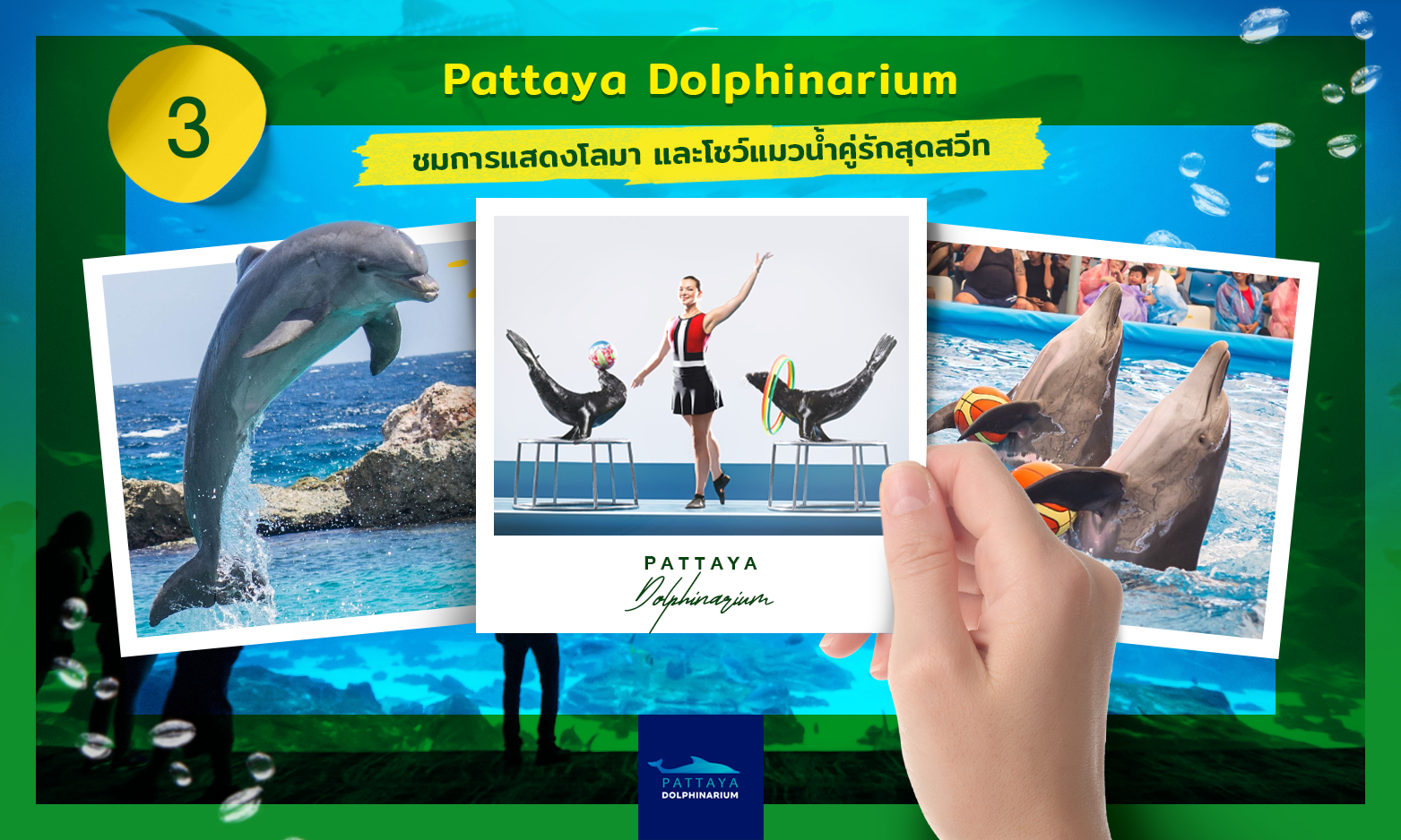 อควาเรียม Pattaya Dolphinarium
