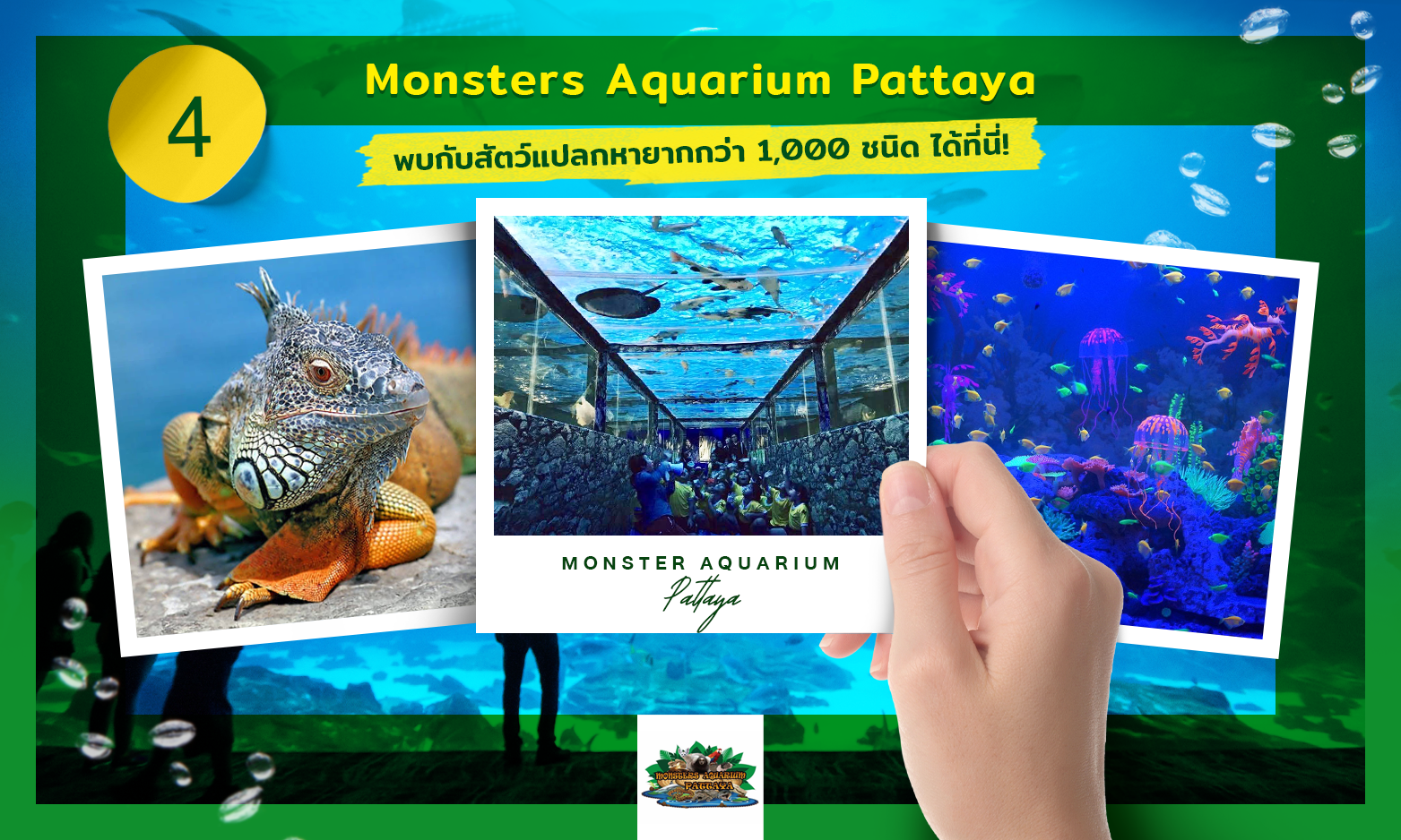 Monsters Aquarium Pattaya