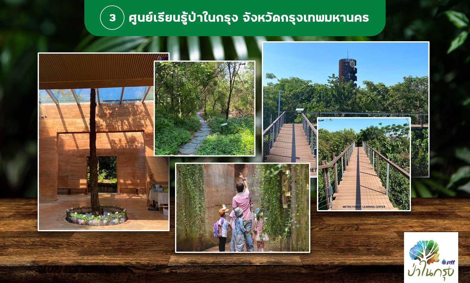 พาลูกเที่ยวธรรมชาติที่ศูนย์เรียนรู้ป่าในกรุง กรุงเทพมหานคร