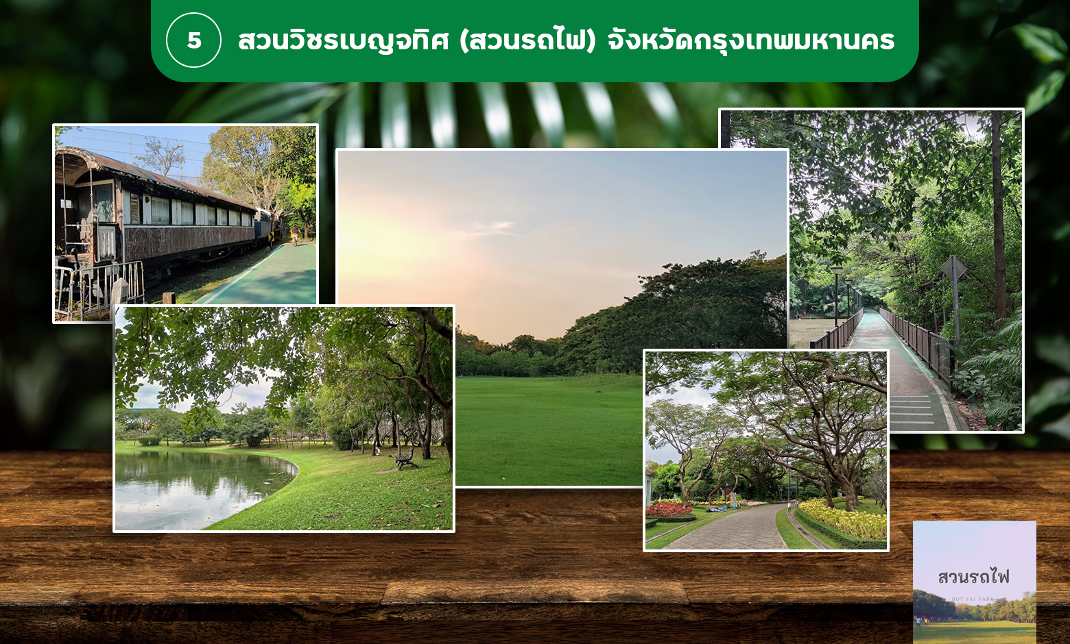 พาลูกเที่ยวธรรมชาติที่อุทยานแห่งชาติไทรโยค กาญจนบุรี