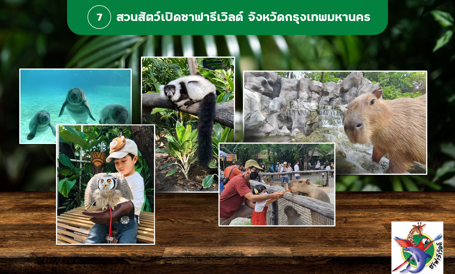 พาลูกเที่ยวเสริมพัฒนาการที่สวนสัตว์เปิดซาฟารีเวิลด์ กรุงเทพมหานคร