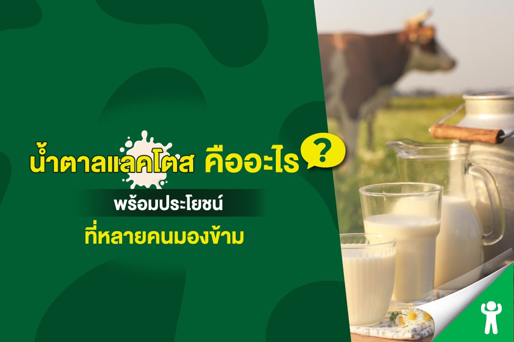  น้ำตาลแลคโตส คืออะไร? พร้อมประโยชน์ที่หลายคนมองข้าม 