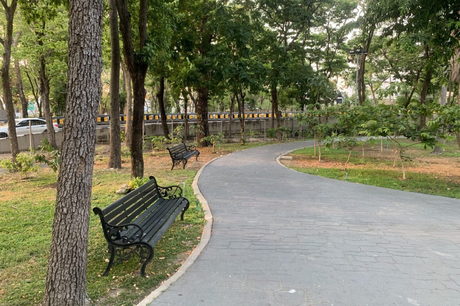 สวนสาธารณะกรุงเทพ - สวนป่าวิภาวดี