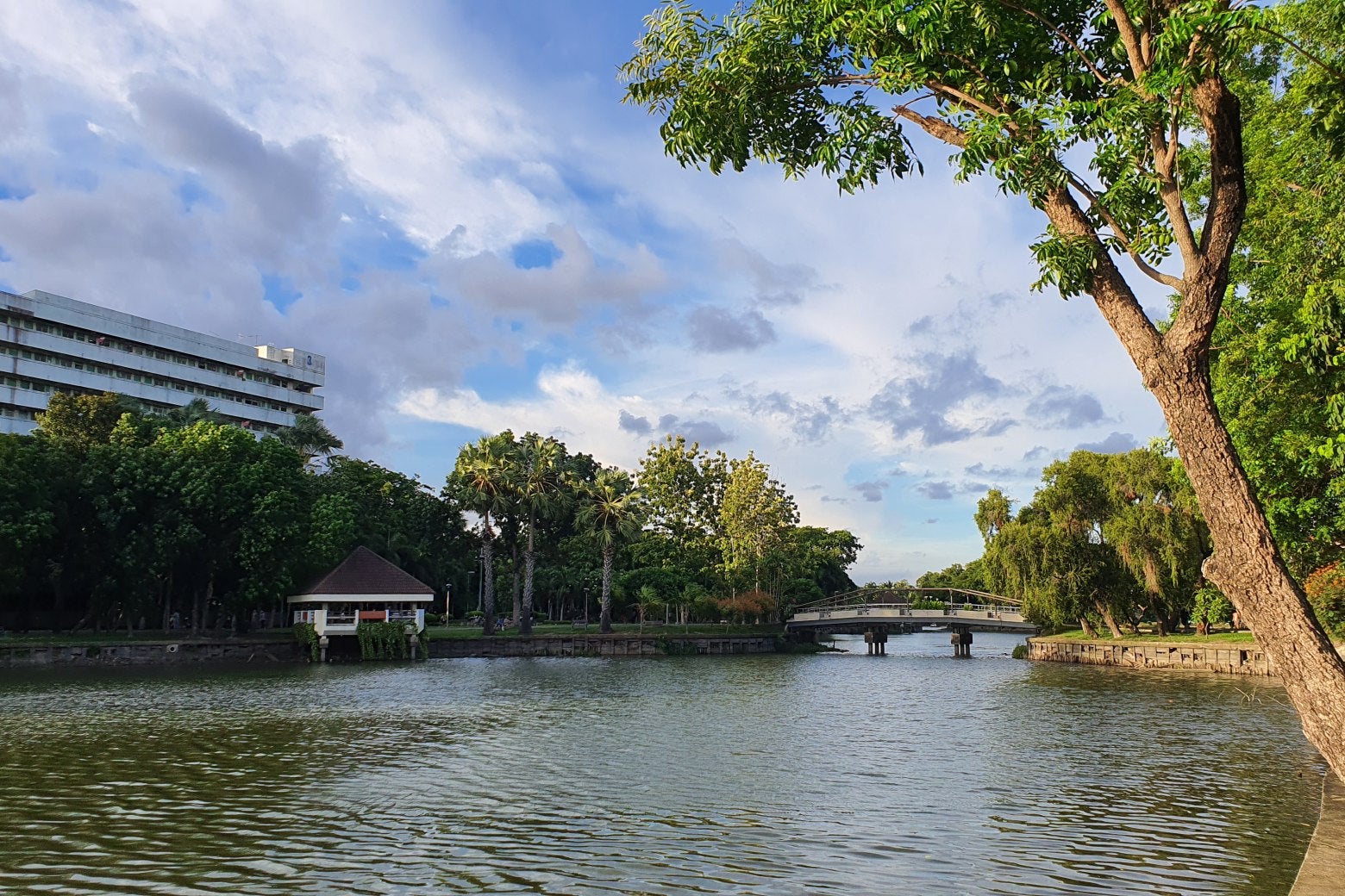สวนเสรีไทย สวนสาธารณะกรุงเทพ