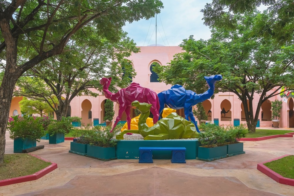 สวนอูฐ ชะอำ Camel Republic สวนสัตว์กรุงเทพ
