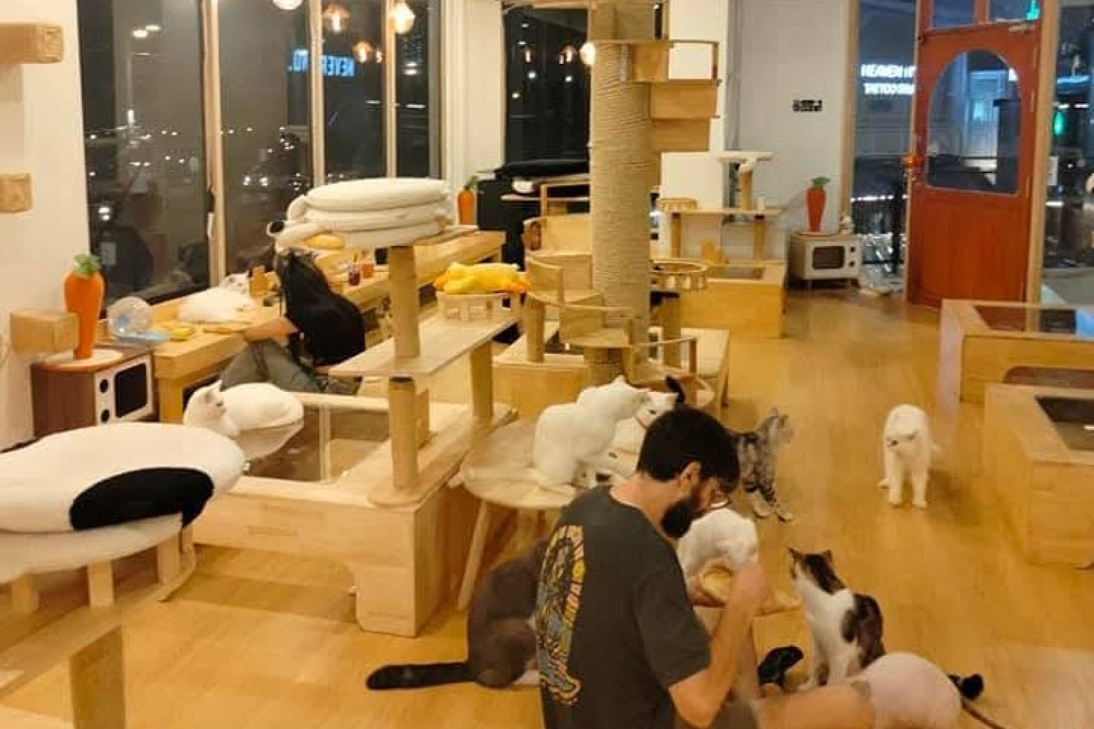 คาเฟ่แมว Cat Smile Cafe