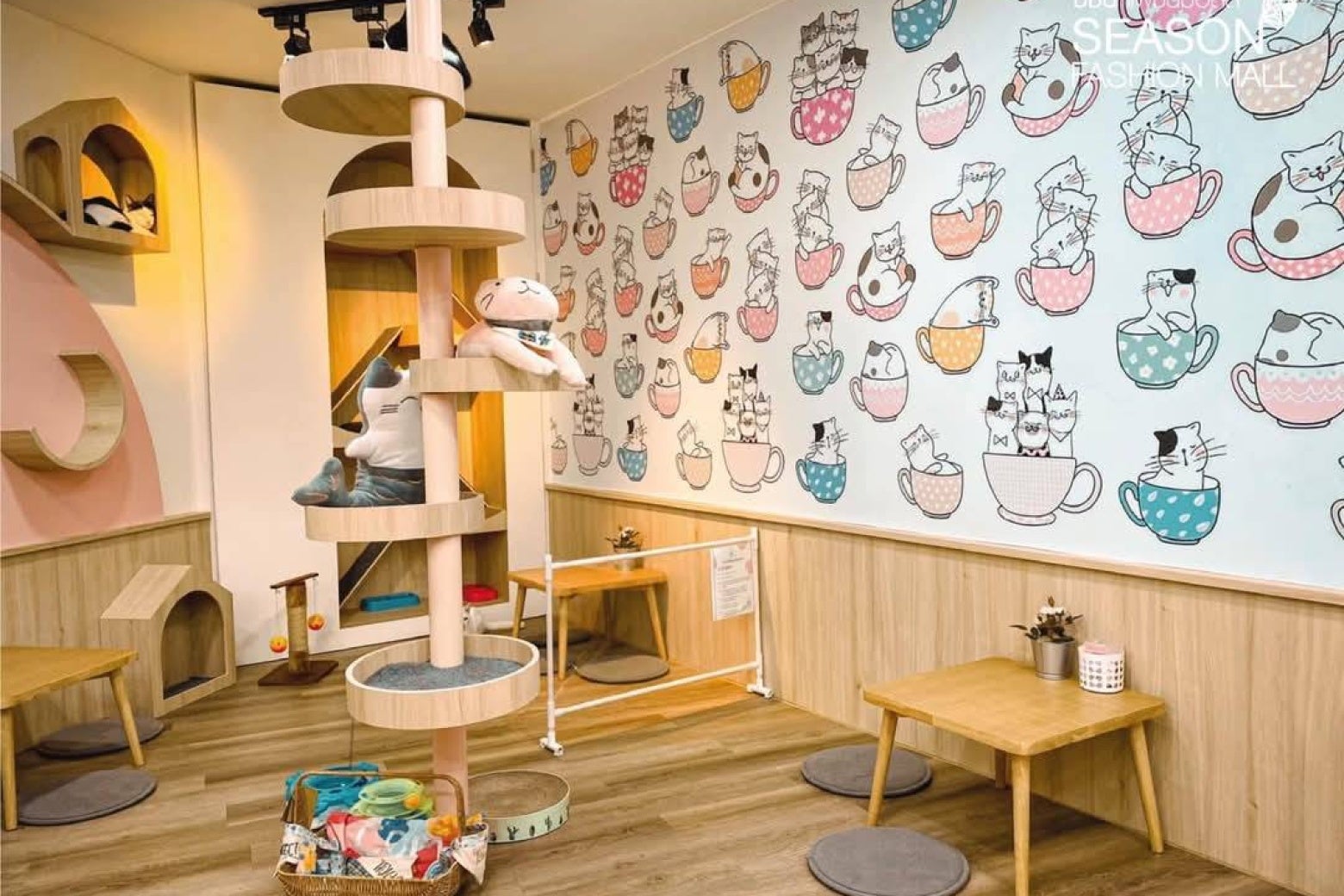 คาเฟ่แมว Cat Tales Cat Cafe