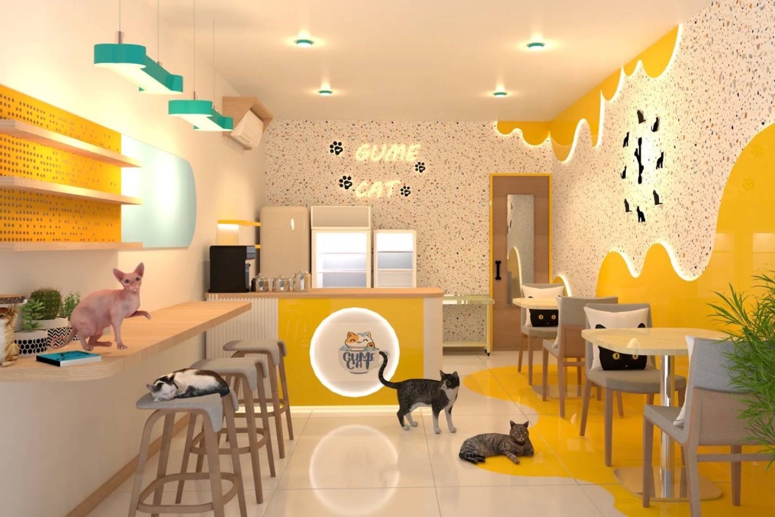 คาเฟ่แมว Gume Cat Cafe