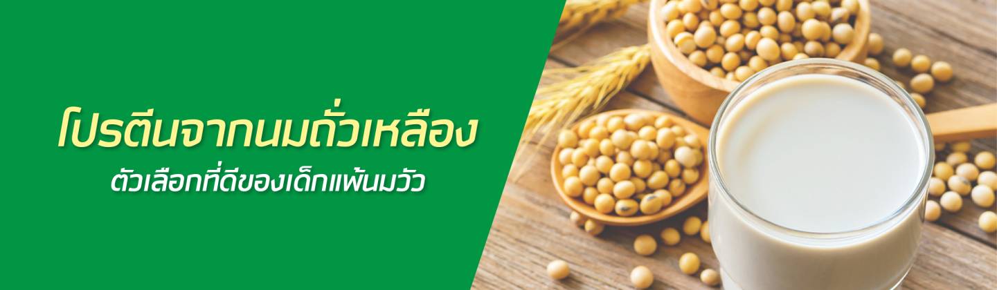 นมถั่วเหลืองสำหรับเด็ก โปรตีนทางเลือกสำหรับเด็กแพ้นมวัว