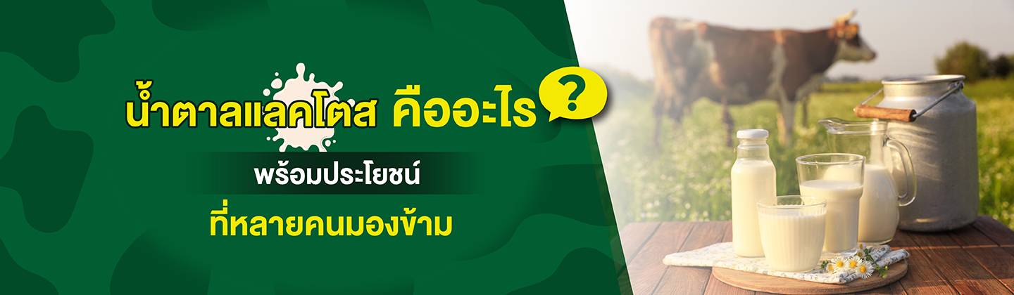 natalaelkhots_khuuexxair_phrxmpraoychnthiihlaykhnmxngkham-01.jpg