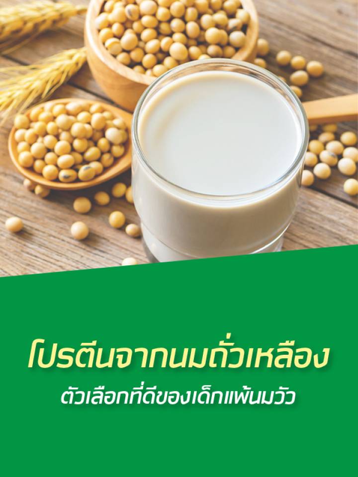นมถั่วเหลืองสำหรับเด็กแพ้นมวัว โปรตีนทางเลือกที่คุณแม่วางใจ | MILO นมถั่วเหลืองสำหรับเด็กแพ้นมวัว โปรตีนทางเลือกที่คุณแม่วางใจ | Milo