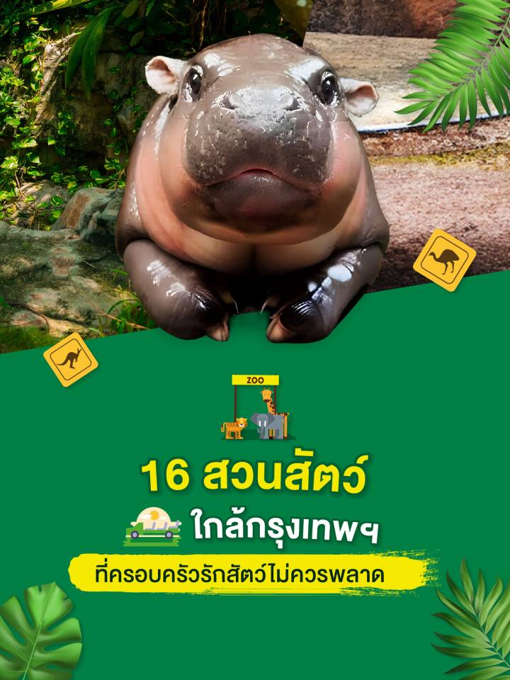 แนะนำ 16 สวนสัตว์ใกล้กรุงเทพ_MB
