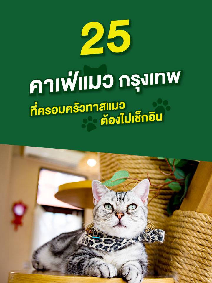khaefaemwinkrungethph_mobile_720x960.jpg